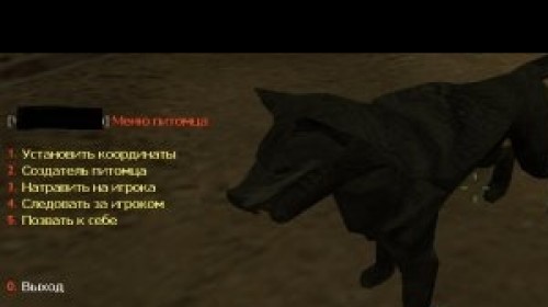 JBPets